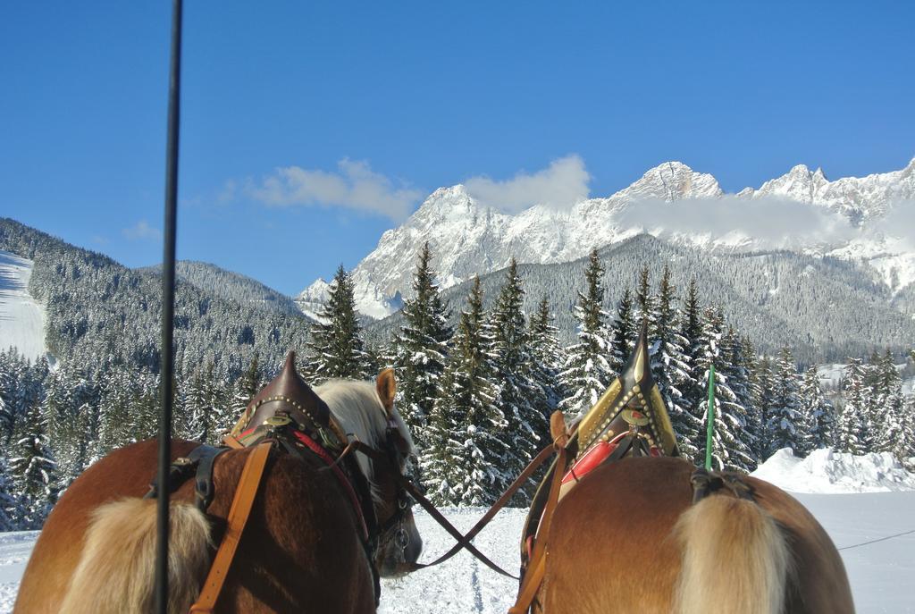 Pension Bergpracht Ramsau am Dachstein Exterior foto
